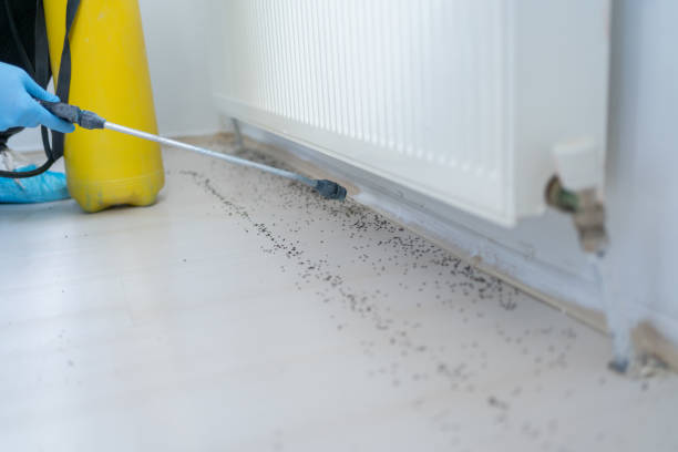 Best Pest Inspection Near Me  in Monroe, WI